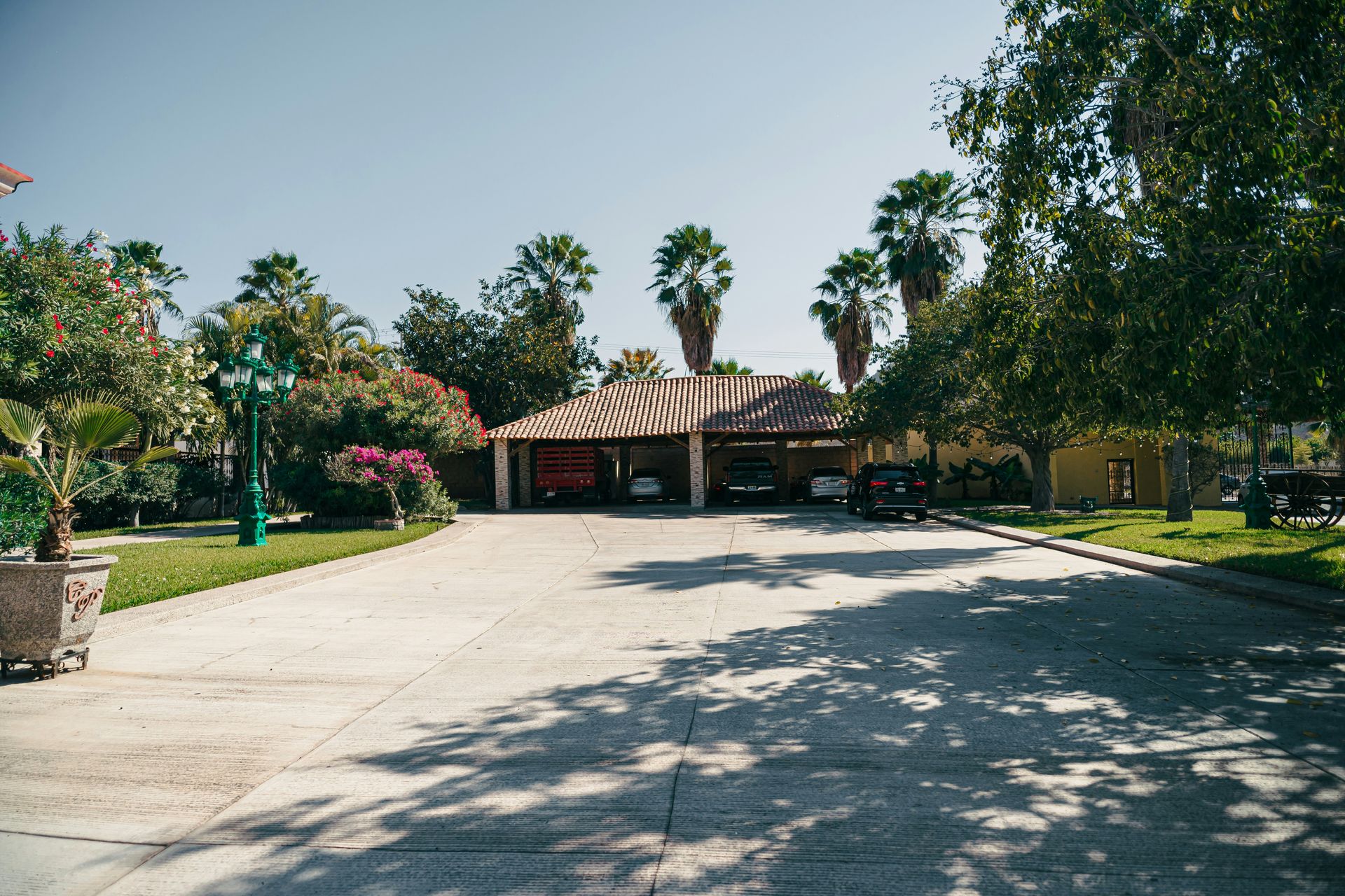 A driveway leads to a house with palm trees